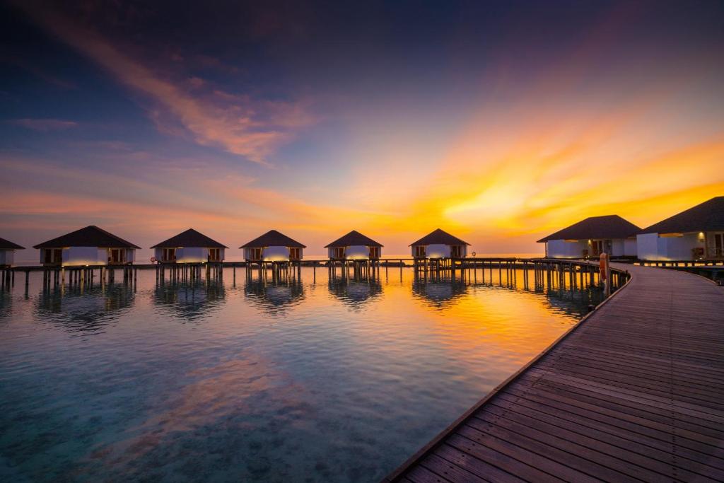 افضل منتجعات المالديف مع مسبح